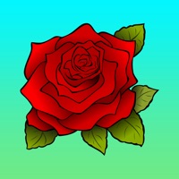 Rose Garden Guide - A Guide To Planting Your Own Rose Garden Successfully