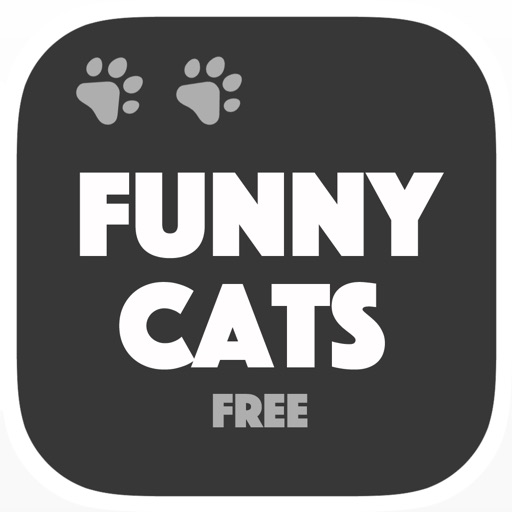 Cats are Funny - Vine & dubsmash gallery iOS App