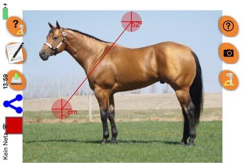 Horse Conformation screenshot 2