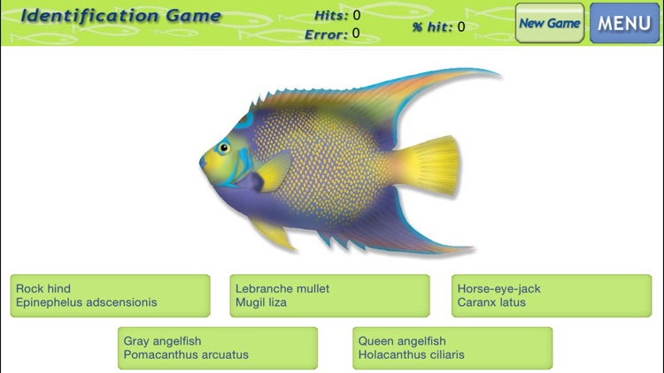 Marine Fishes - Identification Guide screenshot-3