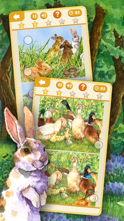 Find the Differences: Easter Bunny Free Edition Picture Search Game for Kids