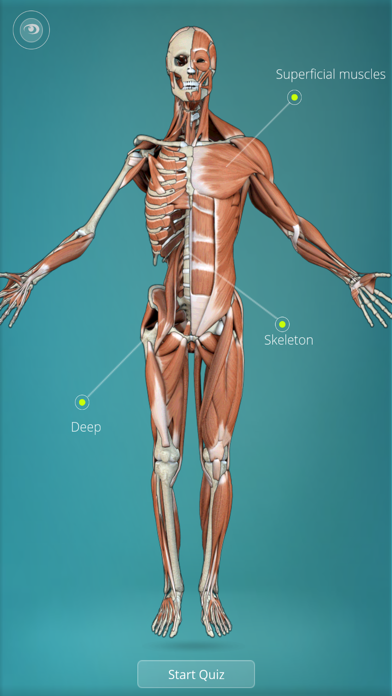 Back Anatomy Quiz - Human Anatomy