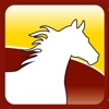 The Equine Directory