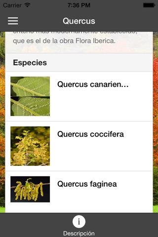 Arboles Ibericos screenshot 4