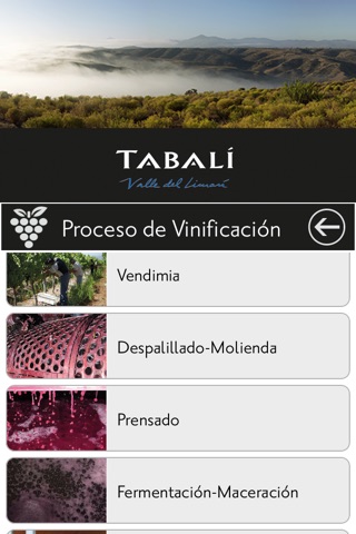 Viña Tabali screenshot 3