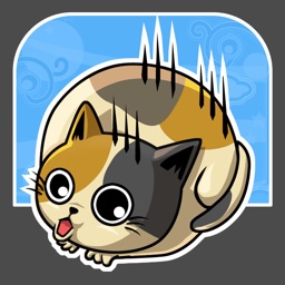 Telecharger Catchthe100cats Pour Ipad Sur L App Store Jeux
