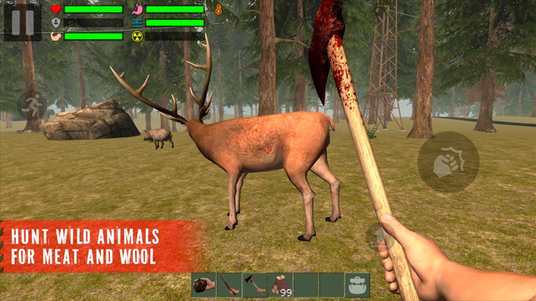 The Survivor: Rusty Forest