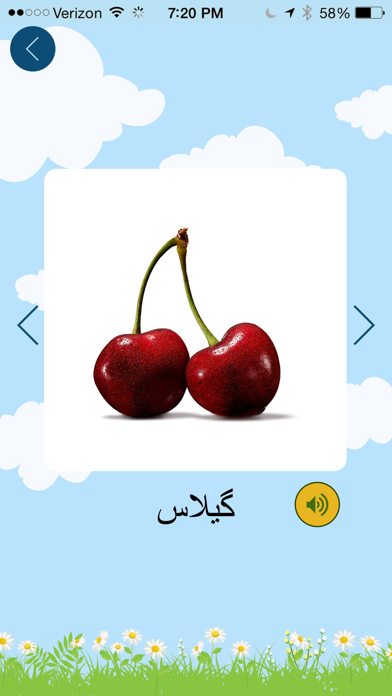 How to cancel & delete Farsi Flash Cards - فلش کارت فارسی from iphone & ipad 3
