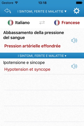 Medical Multilingual Dictionary for Travellers screenshot 3