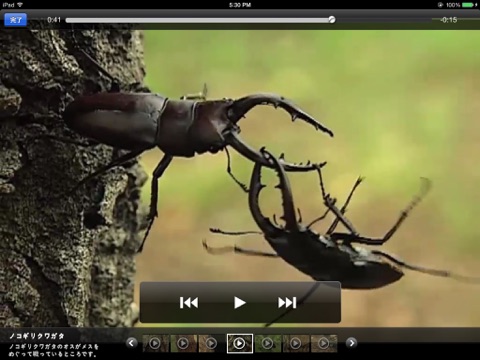 森の昆虫 screenshot 4