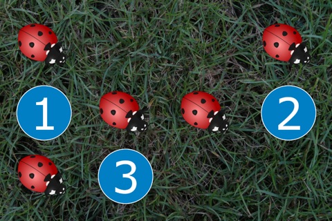 Funny Animals 123 Counting - Animal Math Games screenshot 2