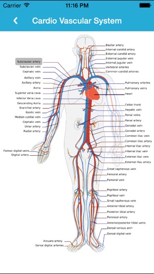 Anatomy Guide (Pocket Book)(圖3)-速報App