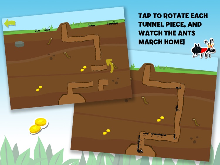 Brainy Bugs' Preschool Games for iPad screenshot-3