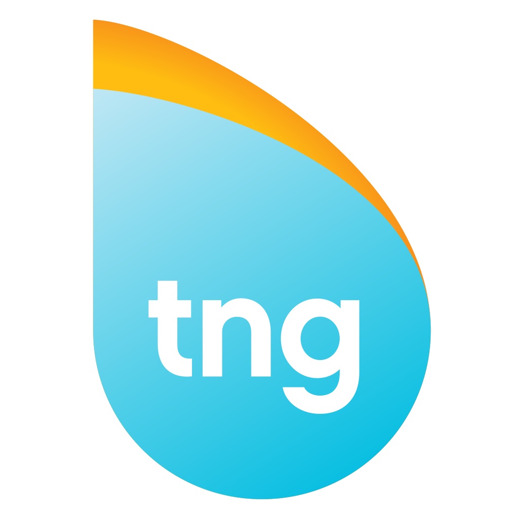TNG Real Estate Consultants icon