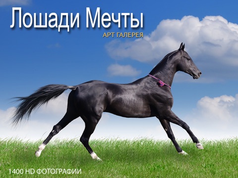 Скриншот из Dream Horses - Art Gallery: Breeds & Types, Racetrack & Tournaments, Photos & Paintings