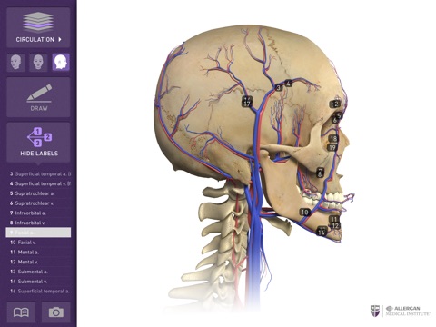 Interactive Anatomy - FI screenshot 3
