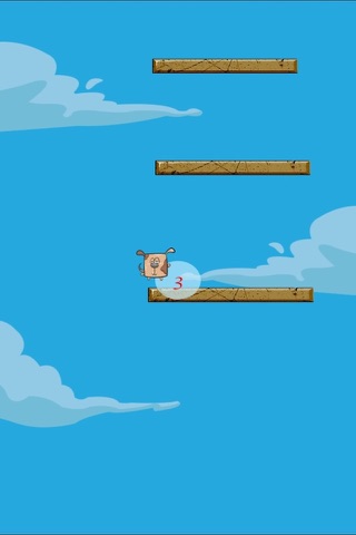 An American Dog Jumping Fast Beneath the Sky in a Shutter Island Pro screenshot 4