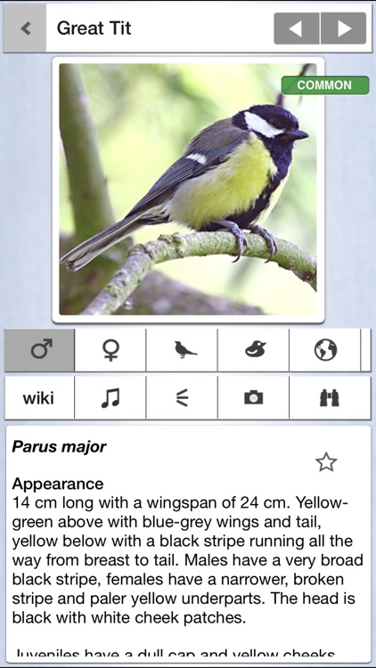 Birds of the Netherlands: A Field Guide from iSpiny