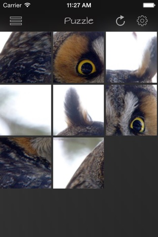 Owls Guide screenshot 3