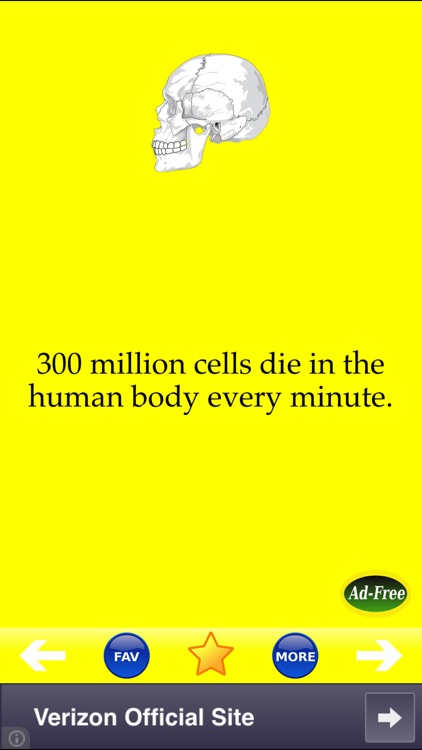 Human Body Facts 1000: Fun Anatomy and Physiology Daily Study Guide Free!