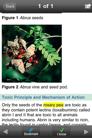 Poisonous Plants Flash Cards screenshot 2