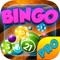 Bingo Party Hall PRO - Play Online Casino and Gambling Card Game for FREE !