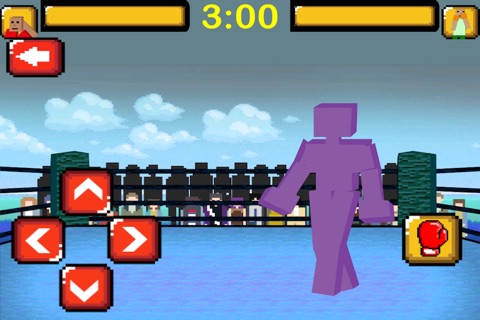 World Super Voxel - Extreme Virtual Boxing KO!- Free screenshot 2