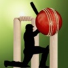 Cricket 3Di