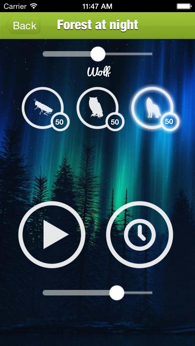 FOREST SOUND FOR SLEEP AND MEDITATION SỨC KHOẺ FOREST SOUND FOR SLEEP AND MEDITATION