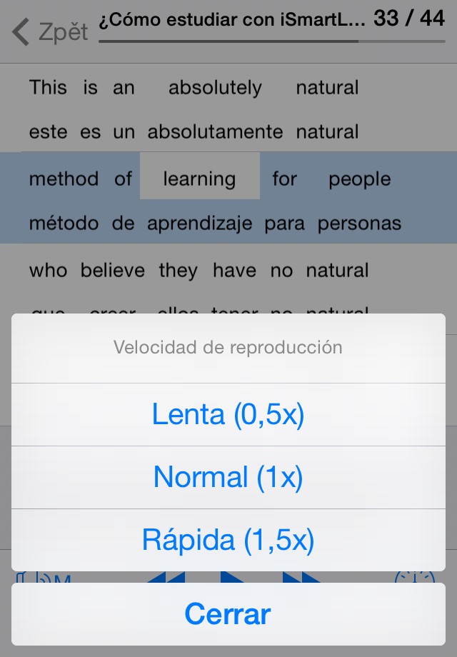 Inglés de Negocios screenshot 4