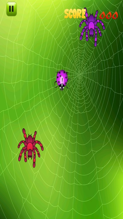 Scary Spider Smasher - Reflex Tester screenshot-3