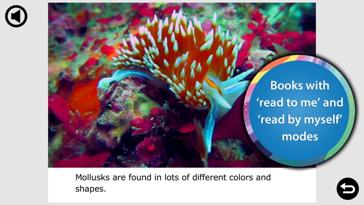 Ocean Animal Learning - Educational Games, Books and Videos about Marine Life by b-creative Journey