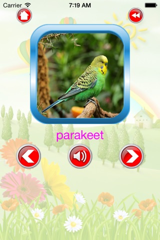 Pet Farm For Kid - Educate Your Child To Learn English In A Different Way screenshot 3