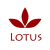 Lotus Thai Cuisine - Los Osos