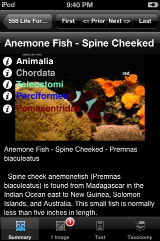 Fishes & Sharks of the World - A Fishes App screenshot 4