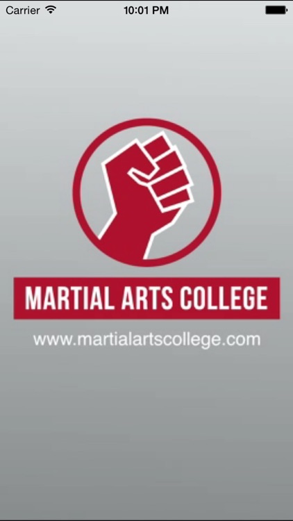Boxing Lessons - M.A.C. Martial Arts College