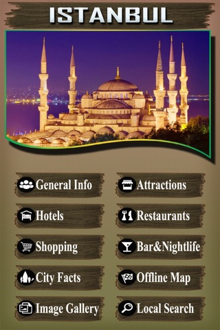 Istanbul City Offline Guide screenshot 2