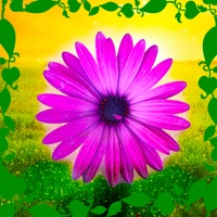 Affirmationer - Daily Affirmations To Improve Your Life