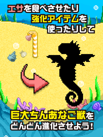 巨大ちんあなご獣 -ウナギ目アナゴ科に属する海水魚-のおすすめ画像2