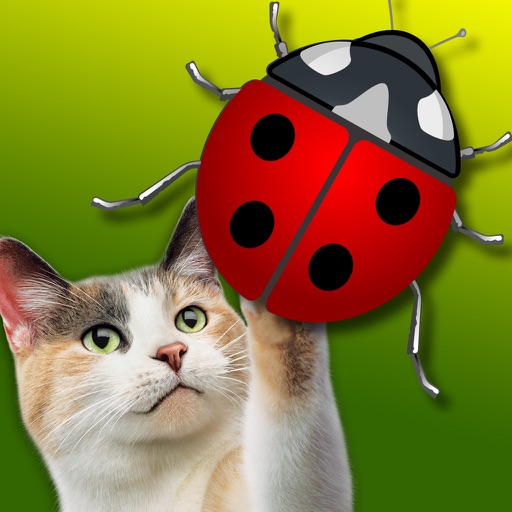 Friskies® JitterBug icon