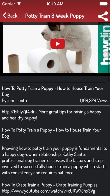 How To Potty Train A Puppy