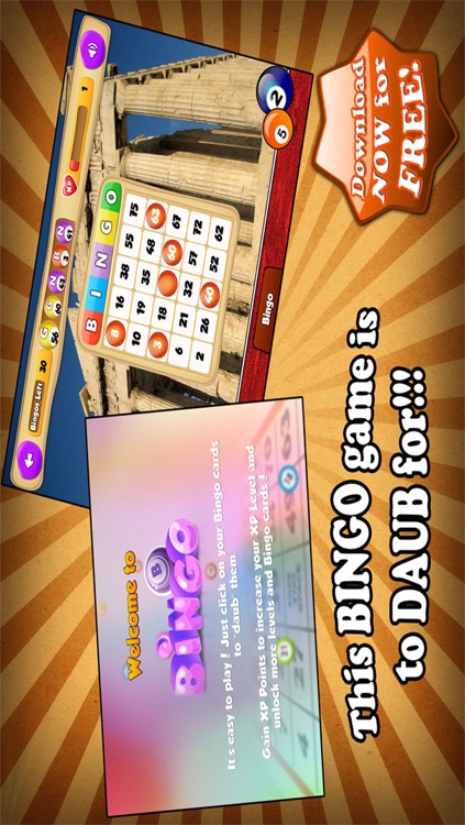 Wonder Bingo Pro - Play Bingo Game with Multiple Cards