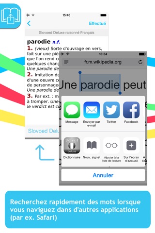 Dictionnaire Francais Slovoed Deluxe avec Audio screenshot 3