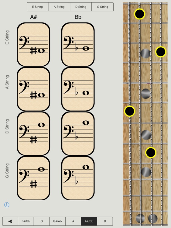 Bass Notes for Beginners - HD