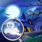 "Hunted House The Dark Manor Ghost Hidden Objects & Find The Difference"