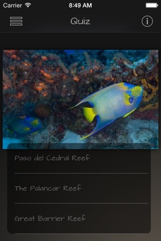 Coral Reefs Wiki + screenshot 4