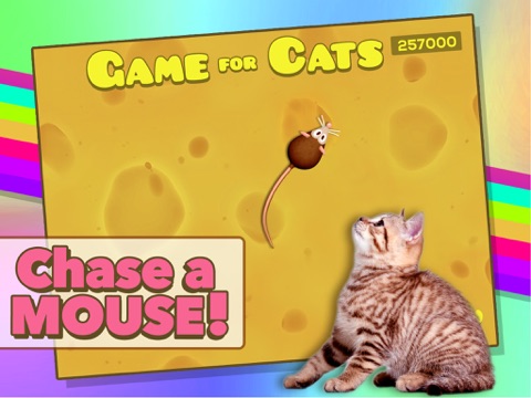 Game for Cats screenshot