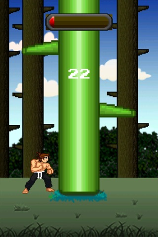 Karate Man screenshot 3