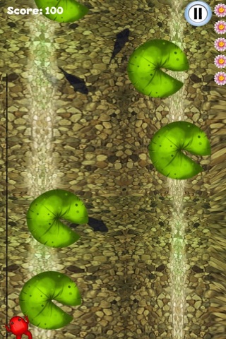 Frog Frogs Escape Pad Jump screenshot 4