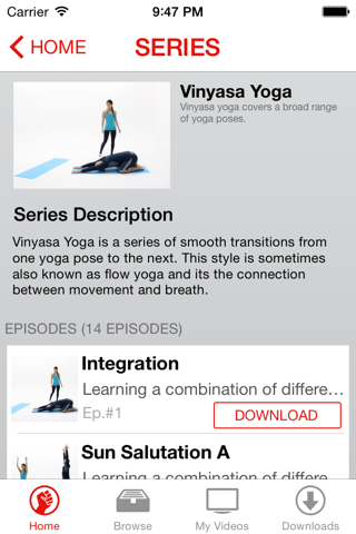 Vinyasa Yoga Lessons screenshot 3